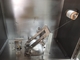 Apparecchiatura di collaudo di infiammabilità del tessuto di ASTM D1230 un acciaio inossidabile da 45 gradi
